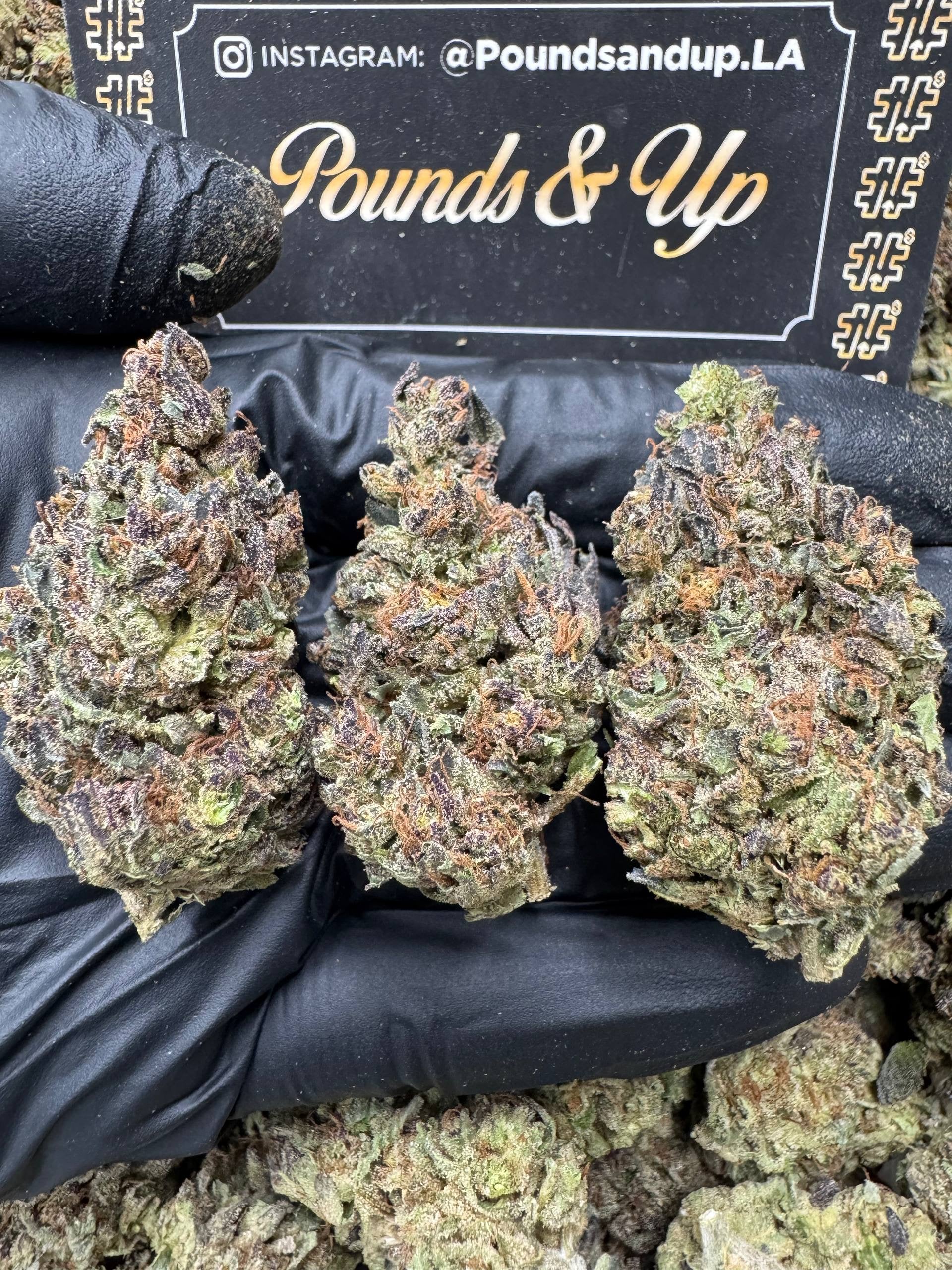 Cherry Ice Cream $875.00