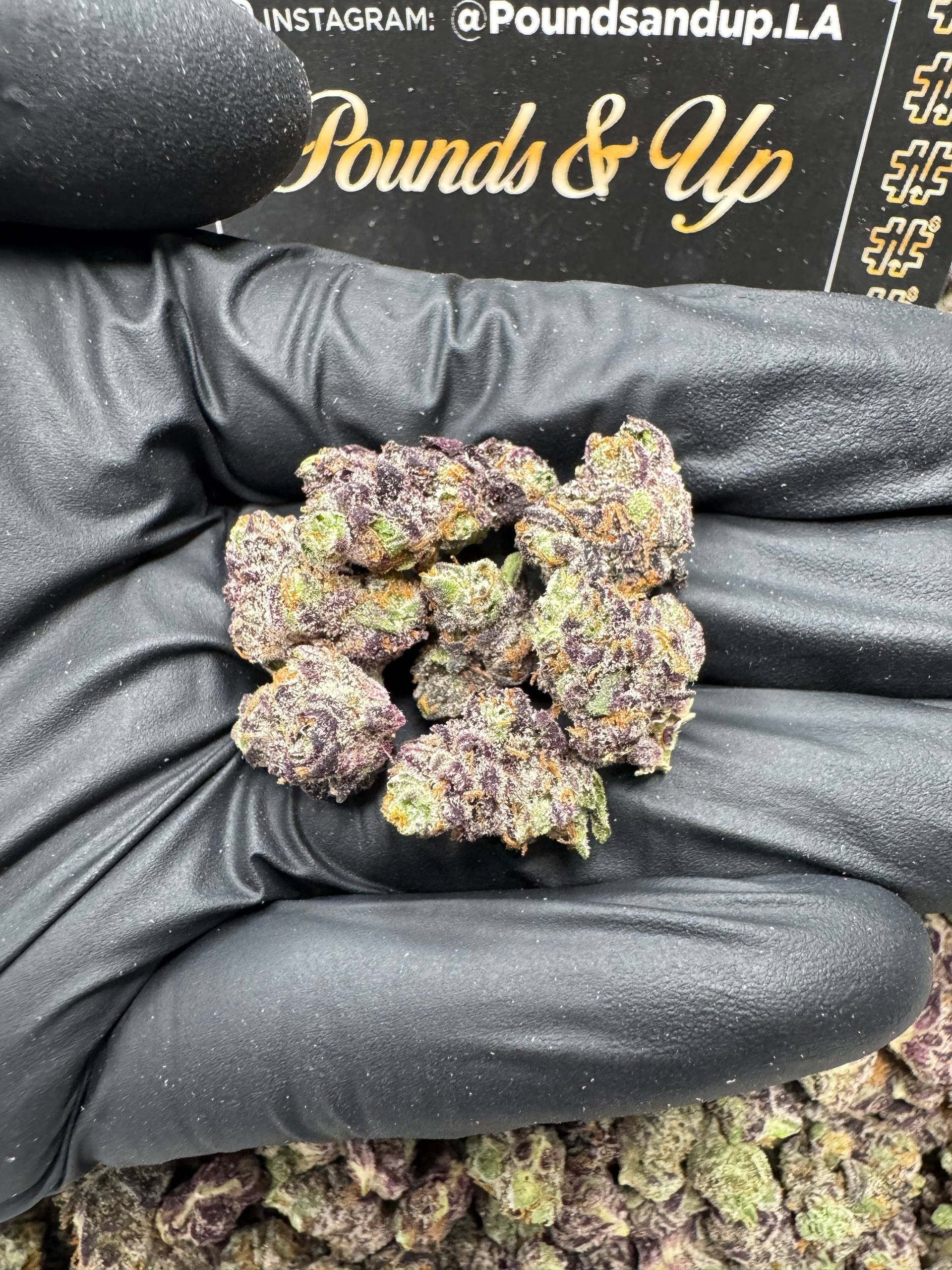 Cherry Purple Smalls $1075.00