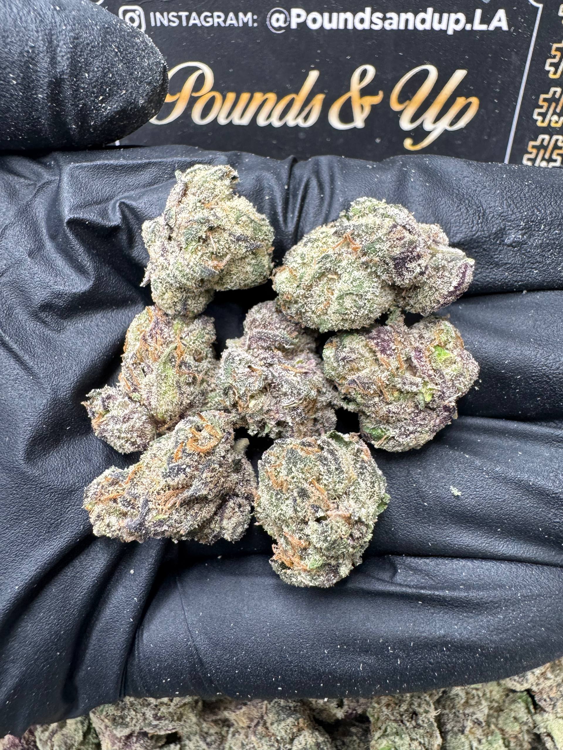 Zweet Reatreat Smediums $800