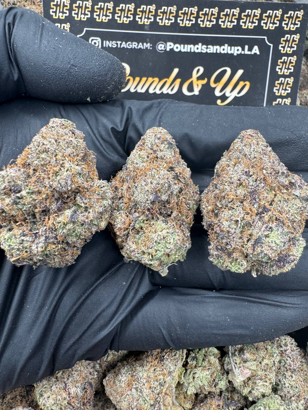 Black Cherry Runtz $900