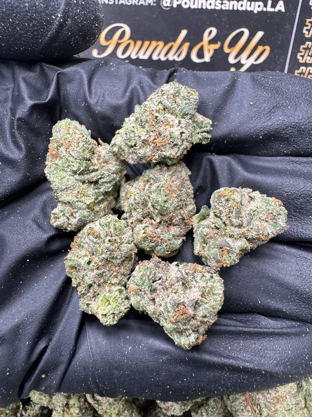 Slurty Nerdy SMediums $960