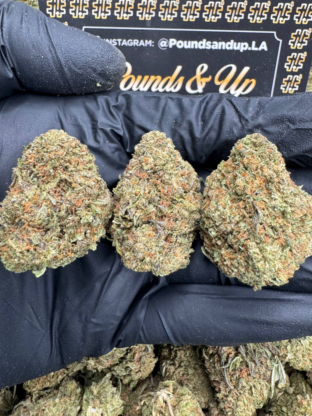 Jet Fuel Gelato $500