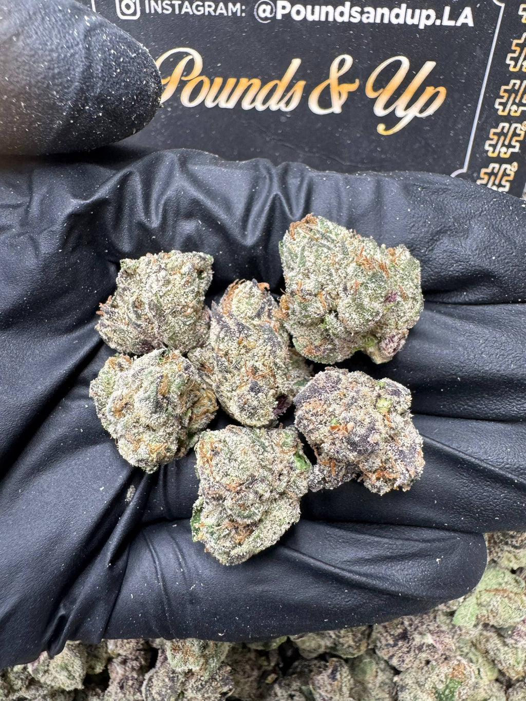 Lemon Cherry Gelato Smediums $965
