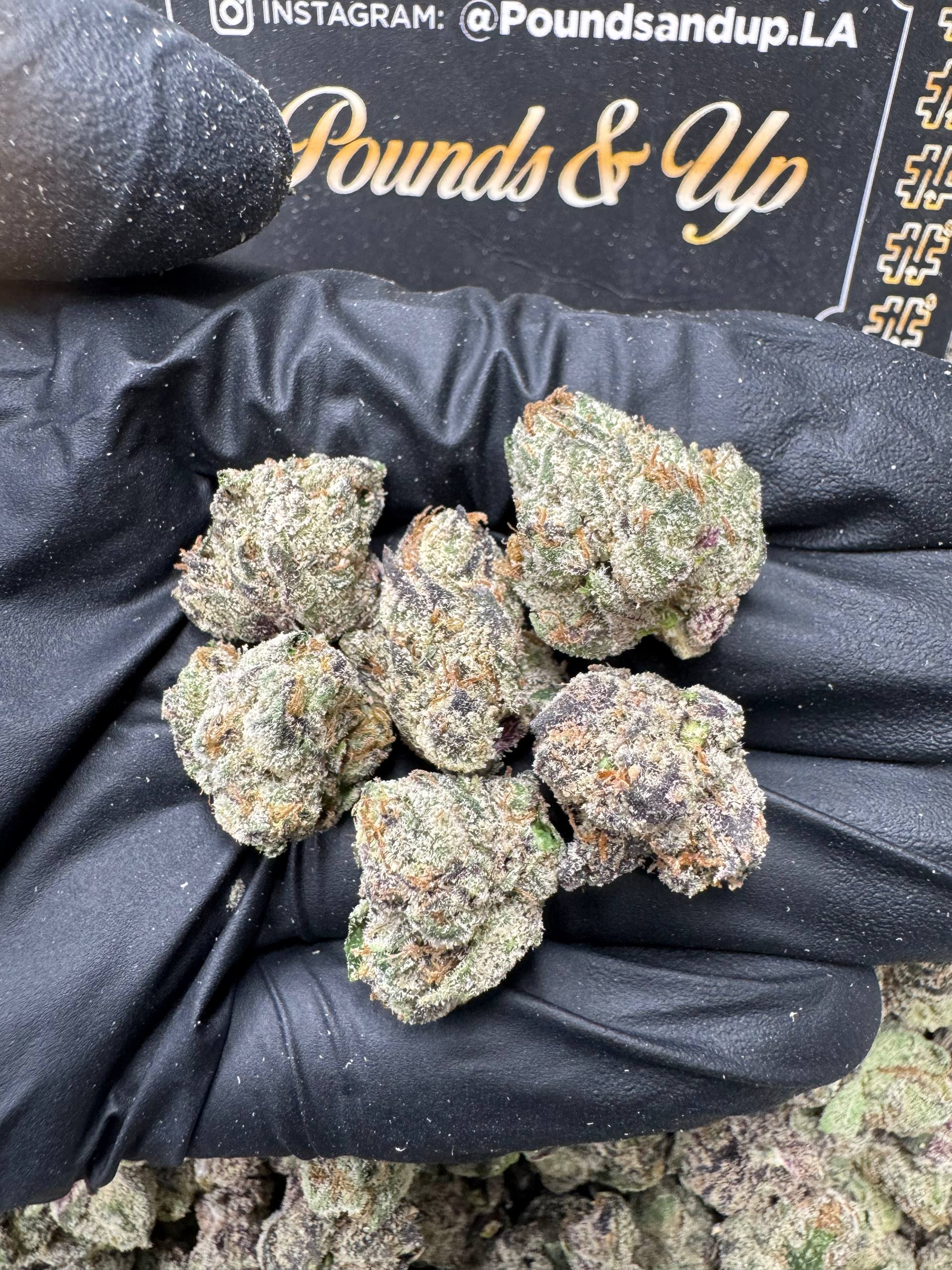 Lemon Cherry Gelato Smediums $965