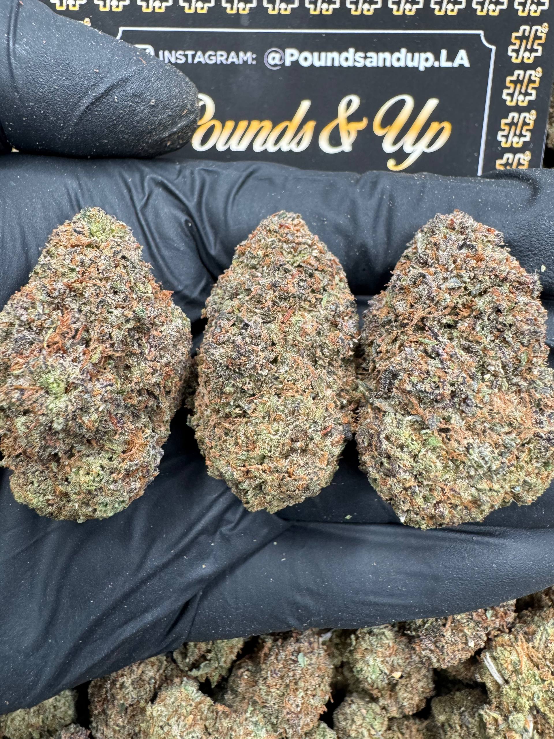 Raspberry Gelato $800