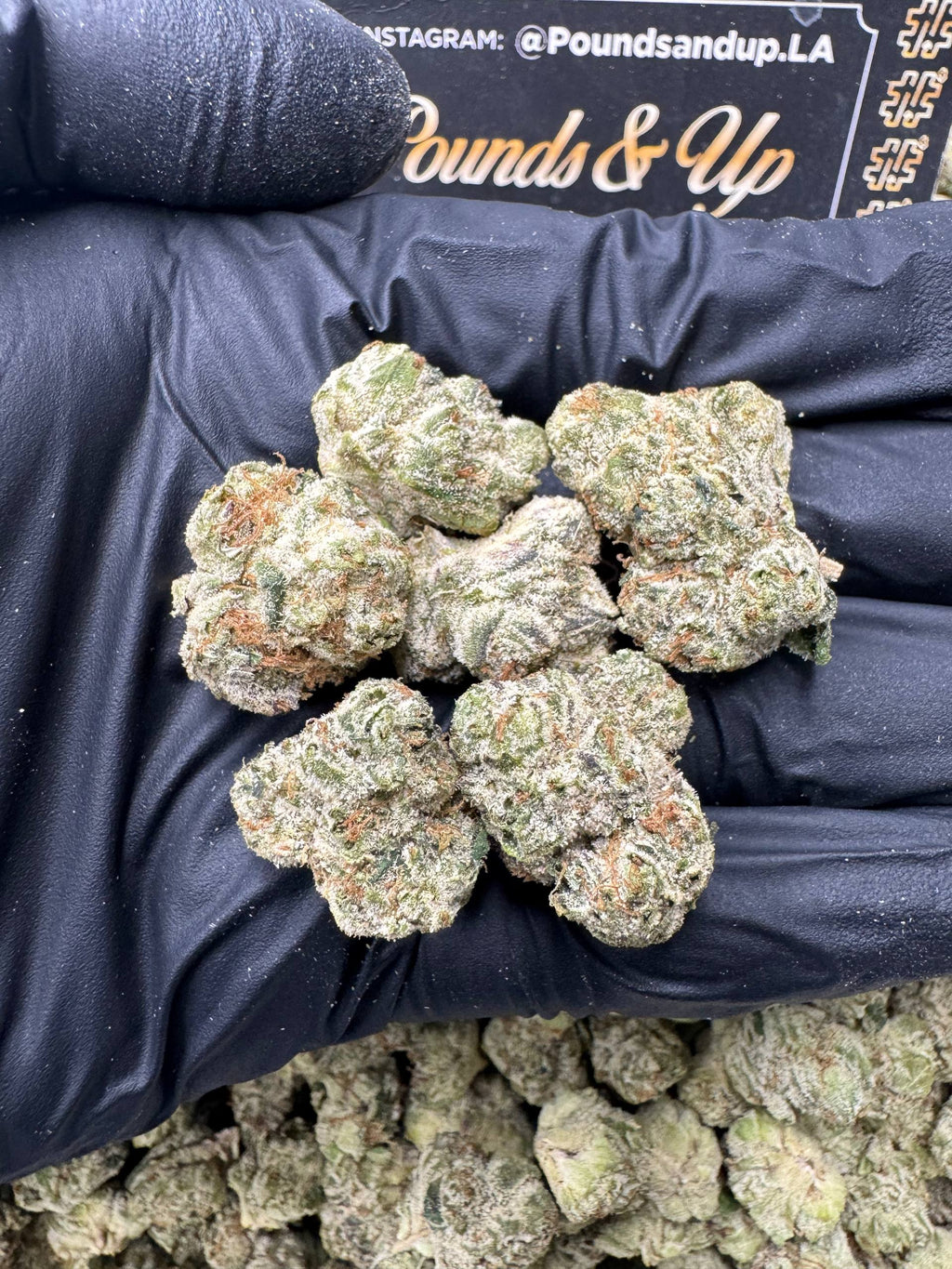 Applescotti Smediums $850