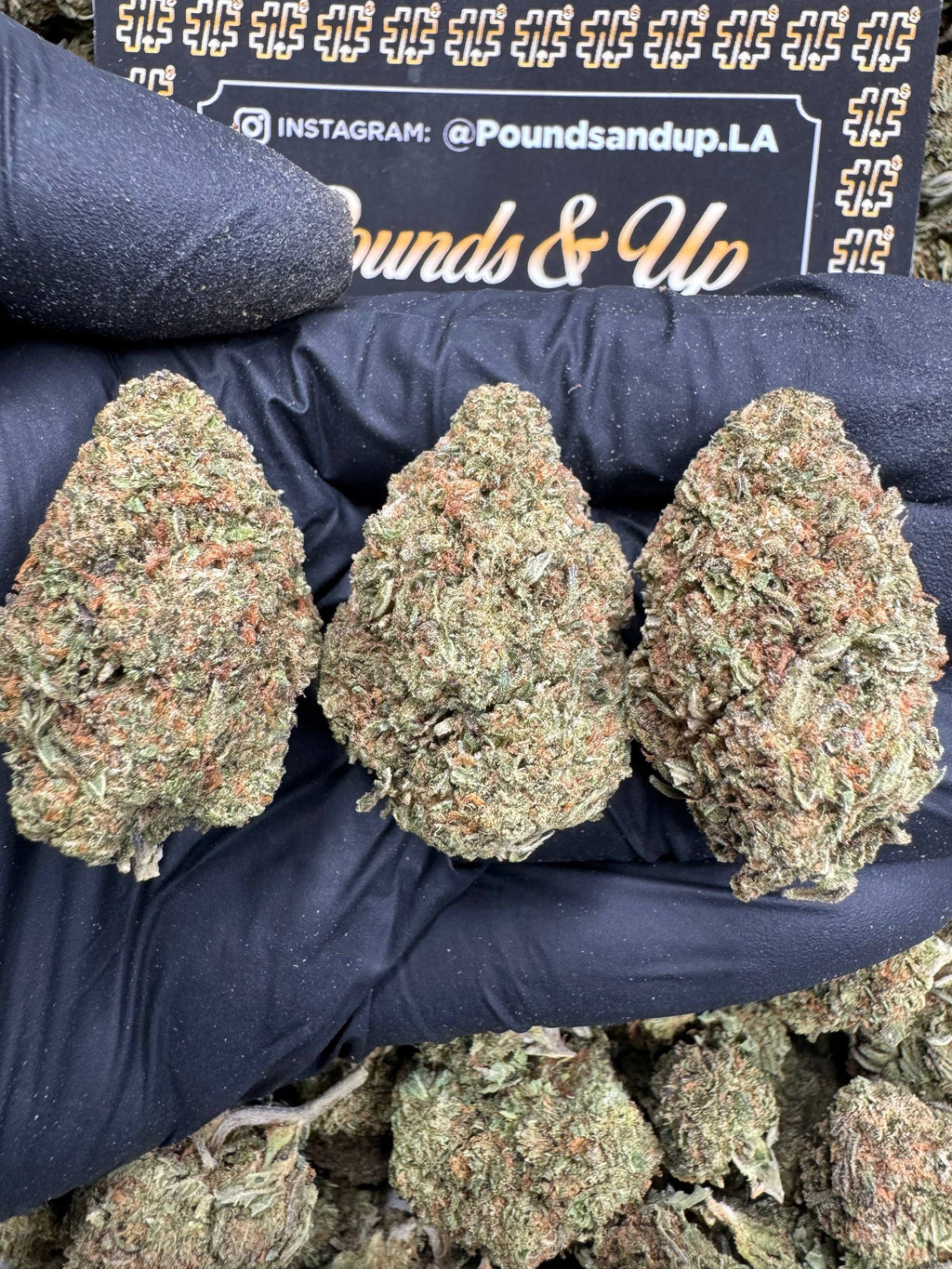 White Gobstopper $400