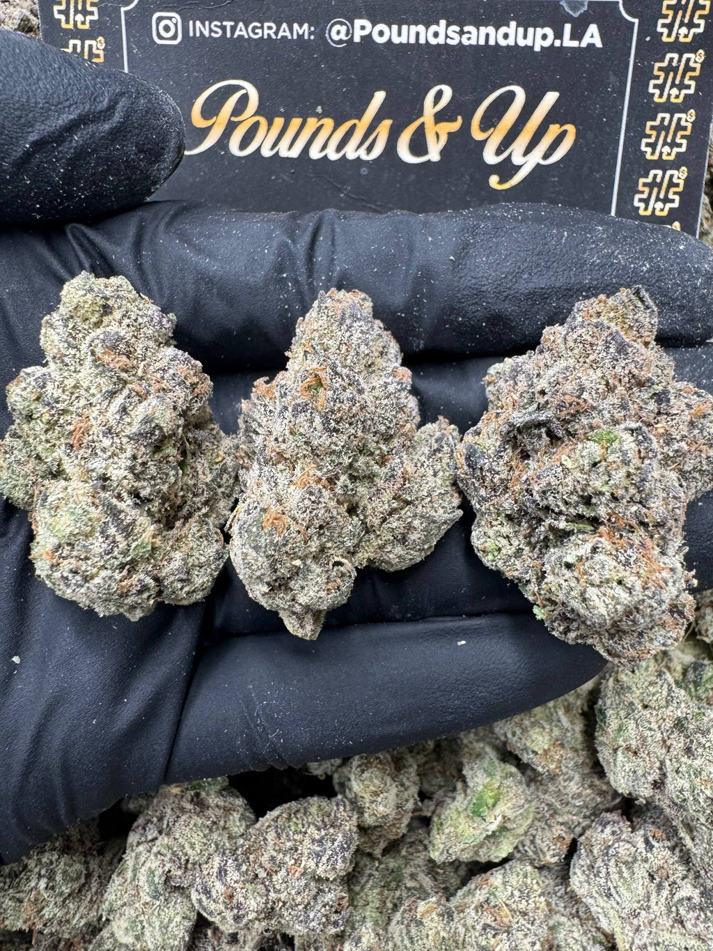 Lemon Cherry Gelato $1150