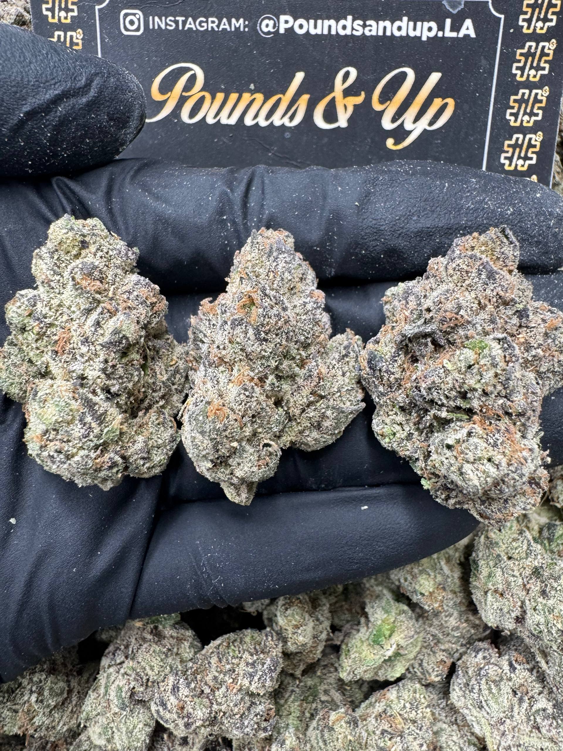 Lemon Cherry Gelato $1150