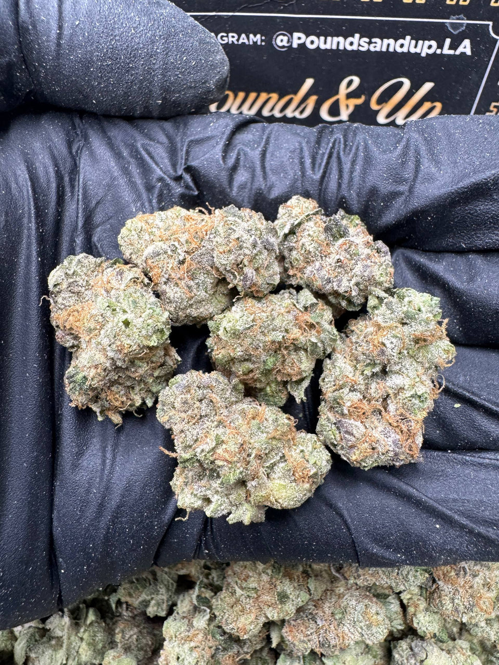 Blue Dante Smediums $750