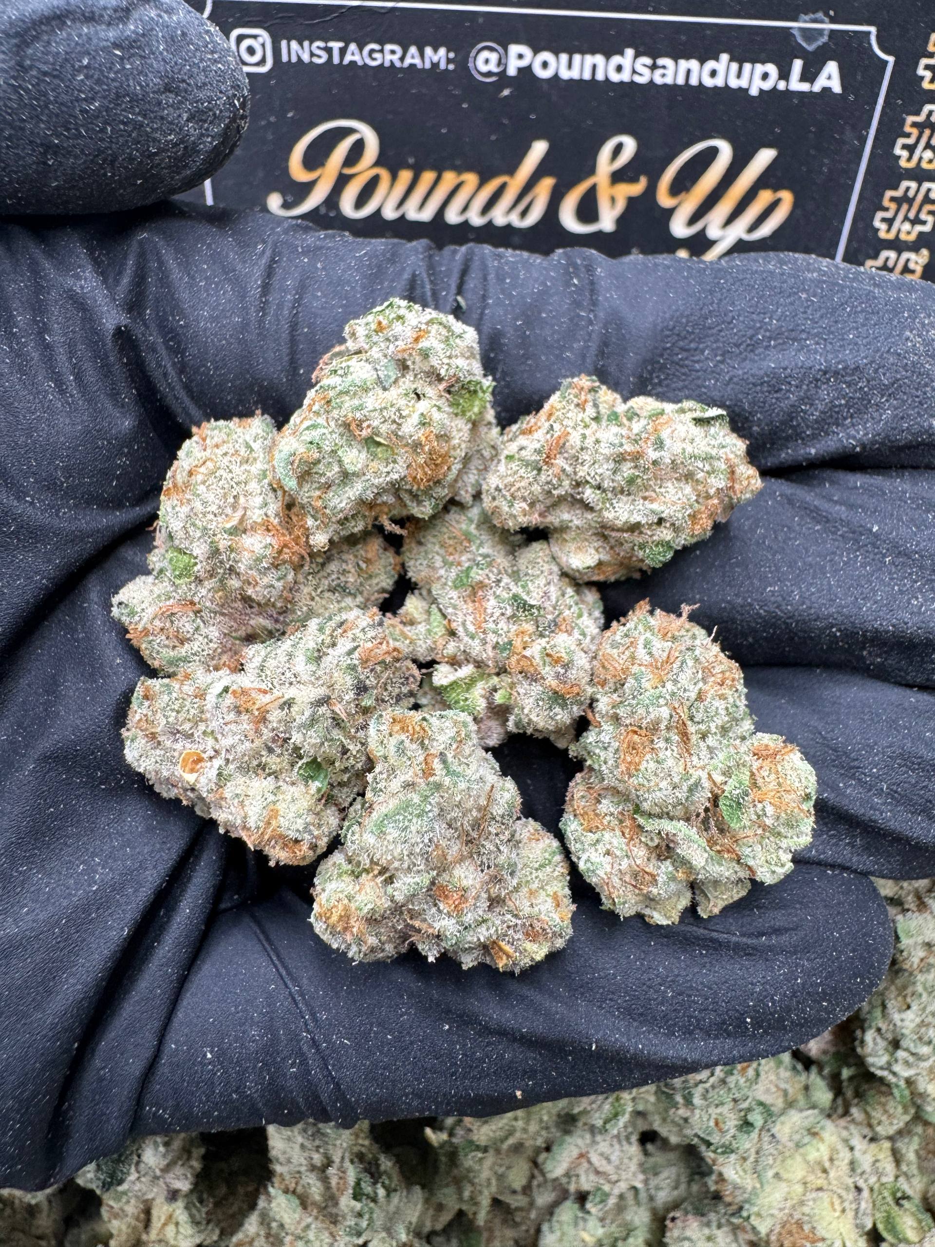 Georgia Pie Smediums $850