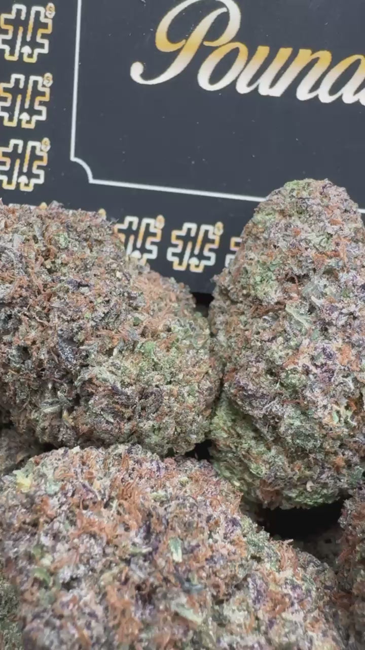 Raspberry Gelato $800
