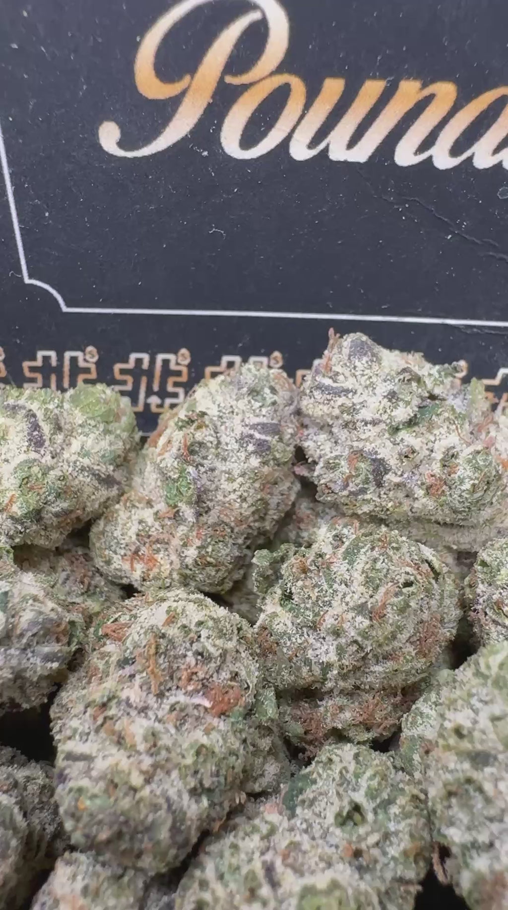 Applescotti Smediums $850