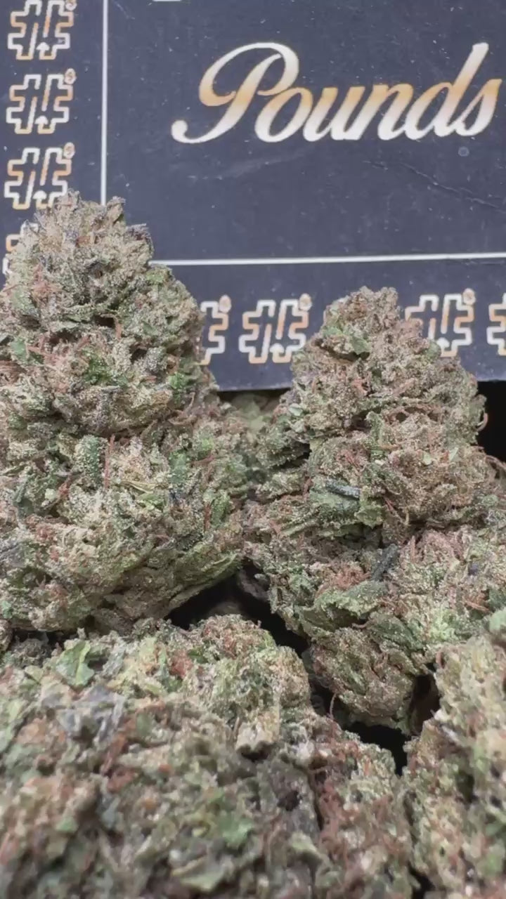 Tropicana Zlush $525