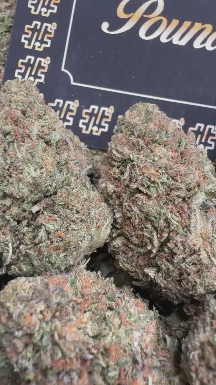 White Gobstopper $400