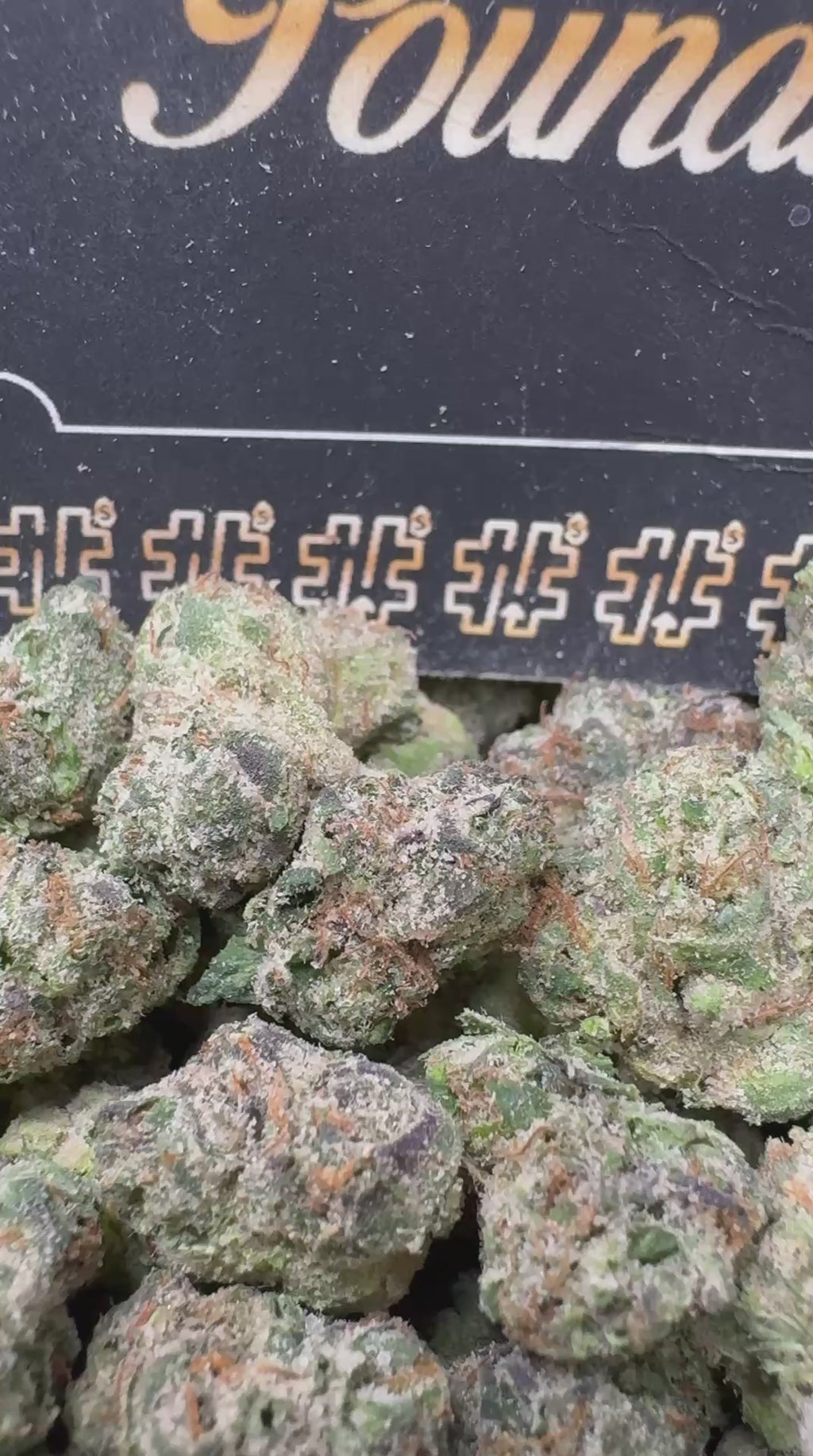 Slurty Nerdy SMediums $960