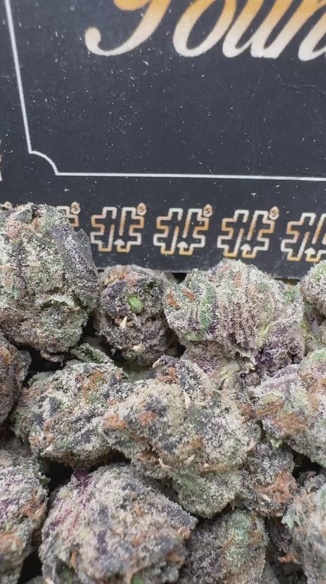 Lemon Cherry Gelato Smediums $965