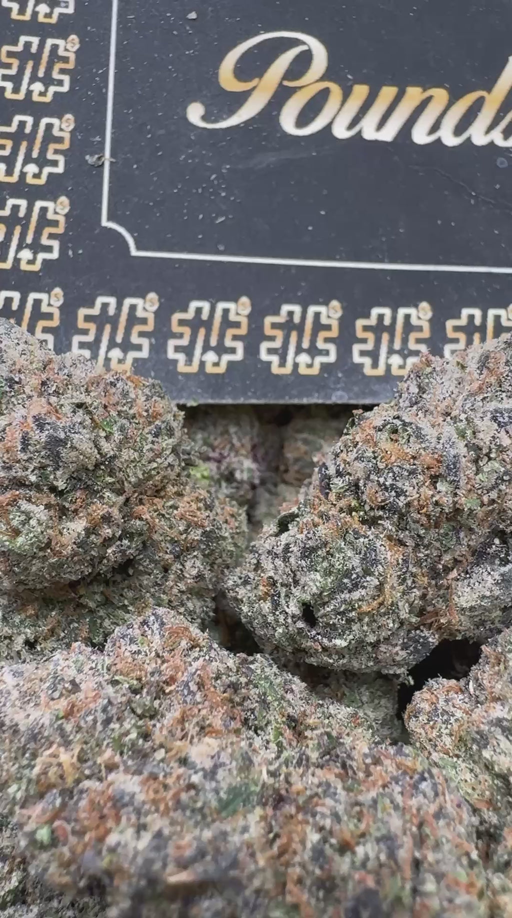 Cotton Candy Gelato $1000