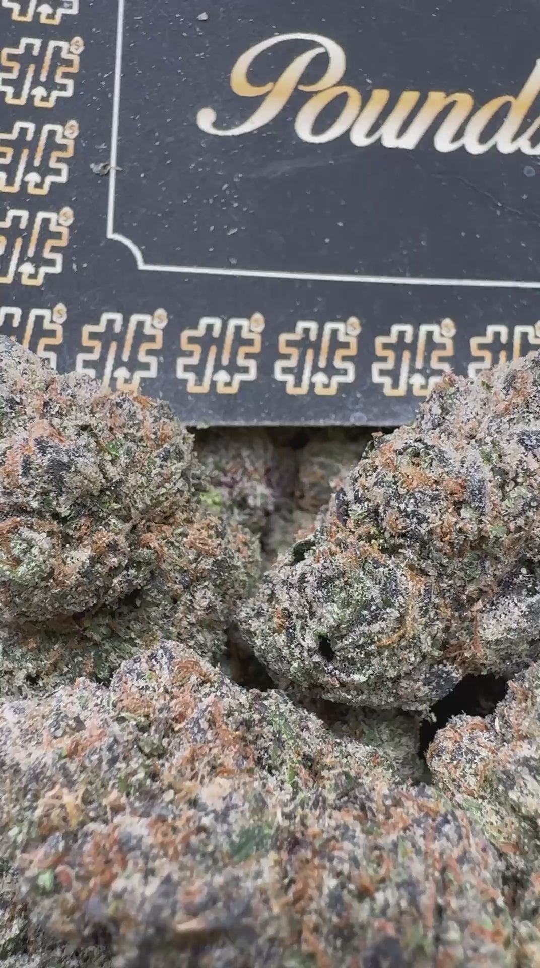 Cotton Candy Gelato $1000