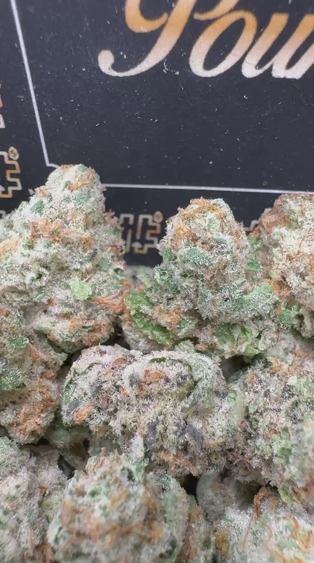 Georgia Pie Smediums $850