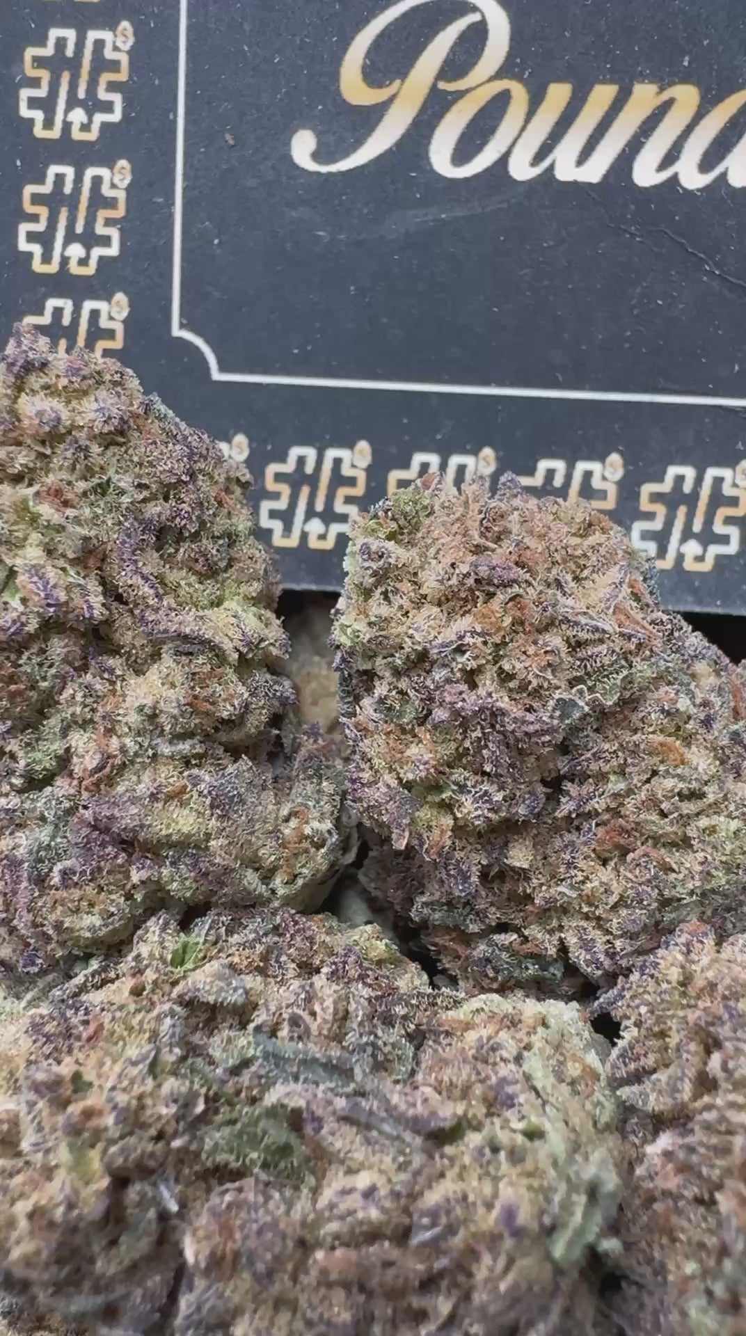 Triple Up Deal - Blizzard Mintz🔋🔥  $1950