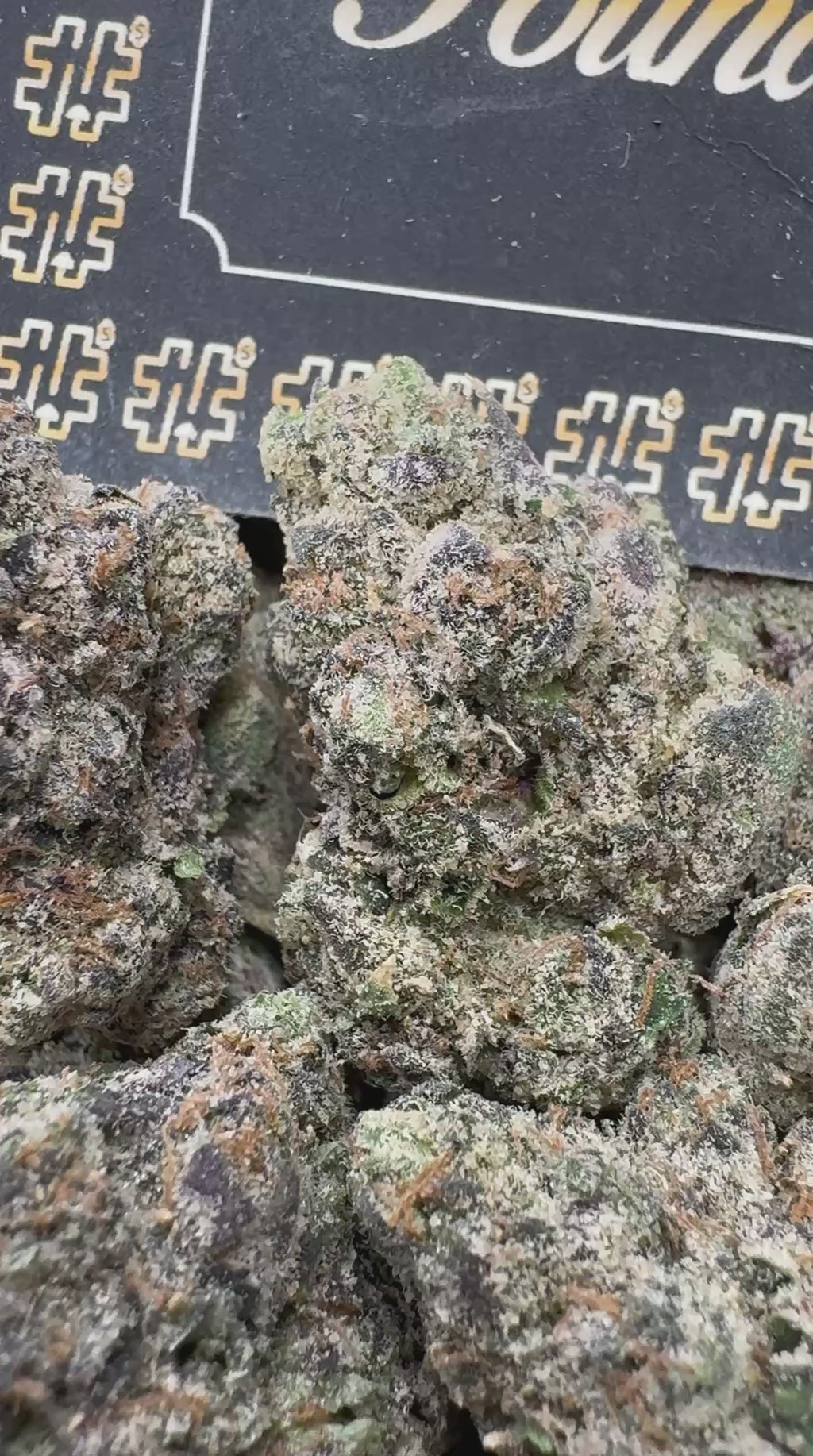 Lemon Cherry Gelato $1150
