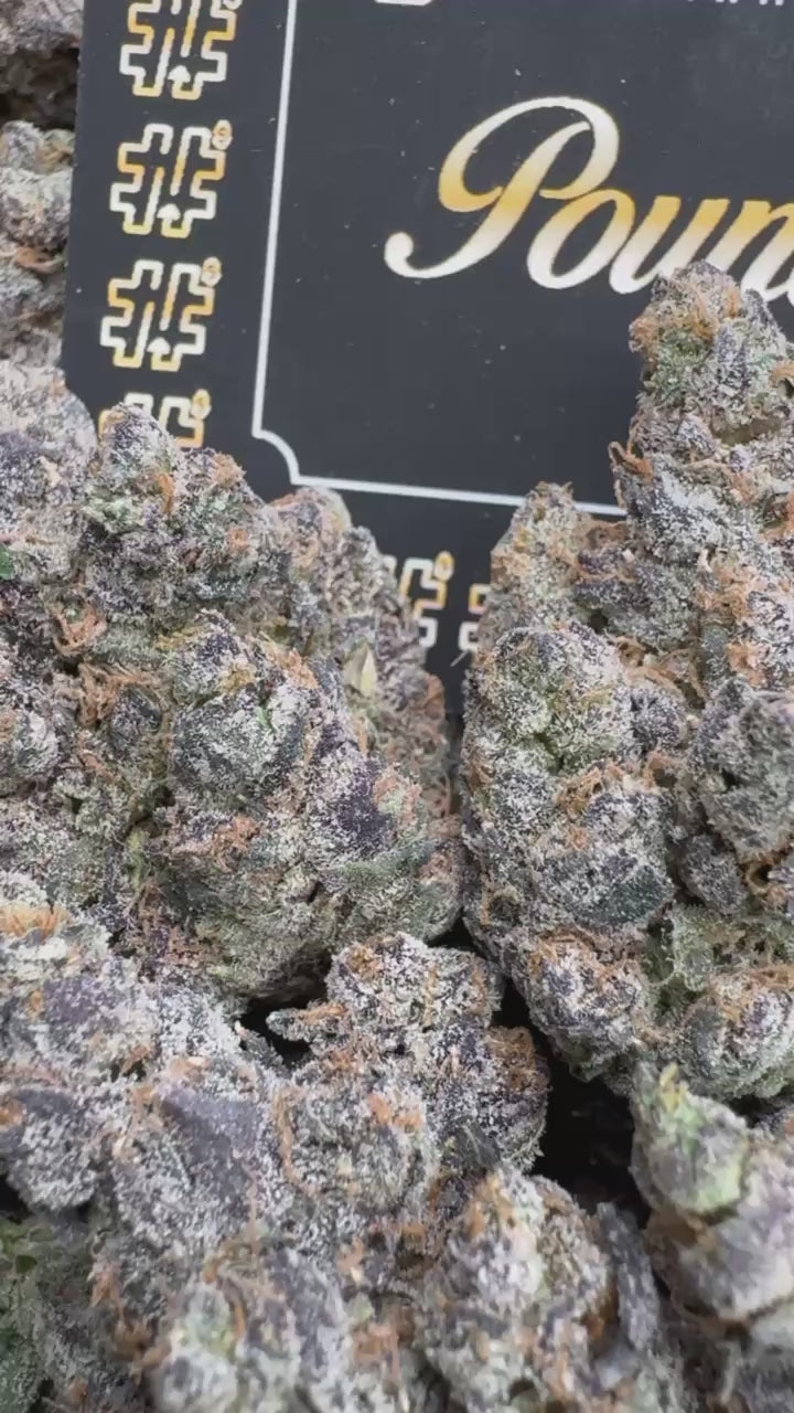 Bubblegum X $1150