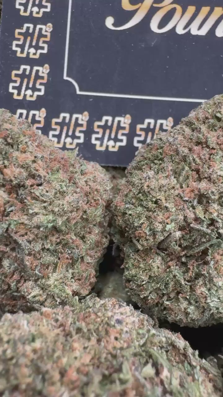 Jet Fuel Gelato $500